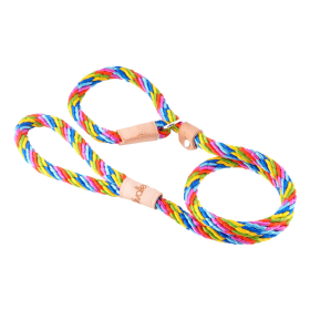 Sport Slip Lead With Stopper (4 ft  x 1/2in or 13mm) (size: 4 ft  x 1/2in or 13mm)
