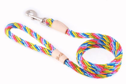 Sport Snap Lead (4 ft  x 1/2in or 13mm) (size: 4 ft  x 1/2in or 13mm)