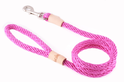 Sport Snap Lead (4 ft  x 1/2in or 13mm) (size: 4 ft  x 1/2in or 13mm)