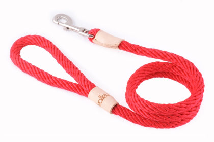 Sport Snap Lead (4 ft  x 1/2in or 13mm) (size: 4 ft  x 1/2in or 13mm)