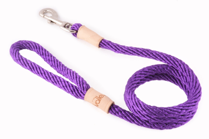 Sport Snap Lead (4 ft  x 1/2in or 13mm) (size: 4 ft  x 1/2in or 13mm)