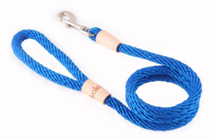 Sport Snap Lead (4 ft  x 1/2in or 13mm) (size: 4 ft  x 1/2in or 13mm)