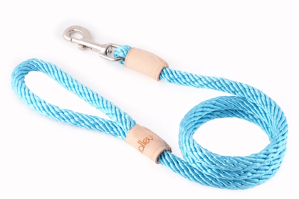 Sport Snap Lead (4 ft  x 1/2in or 13mm) (size: 4 ft  x 1/2in or 13mm)
