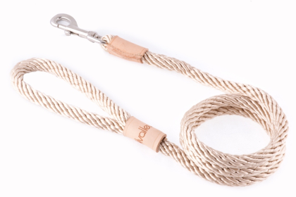 Sport Snap Lead (4 ft  x 1/2in or 13mm) (size: 4 ft  x 1/2in or 13mm)