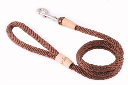 Sport Snap Lead (4 ft  x 1/2in or 13mm) (size: 4 ft  x 1/2in or 13mm)