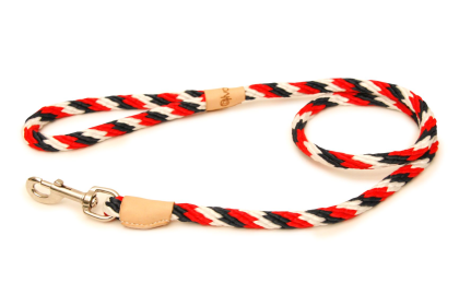 Sport Snap Lead (4 ft  x 1/2in or 13mm) (size: 4 ft  x 1/2in or 13mm)