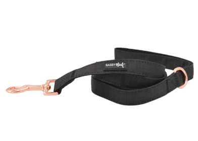 Leash (Color: Black, size: one size)