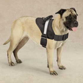Guardian Gear Excursion Harnesses (size: 15-19 Inch)