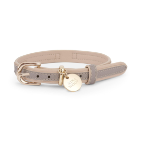 London Dog Collar (size: small)